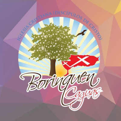 Icdc Borinquen, Caguas Pr