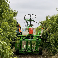California farmers reshape agriculture with cutting edge tech