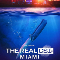 The Real CSI Miami T1: El botín · Se acabó el juego