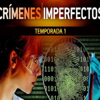 Crímenes imperfectos T1 parte 1
