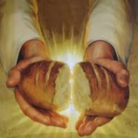 Cada dia tiene su afán