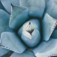 Vai Haver Uma Mudança Em Mim