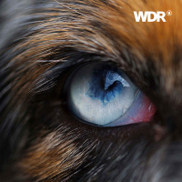 Mit Tieren gehen - Auf den Spuren der Mensch-Tier-Beziehung