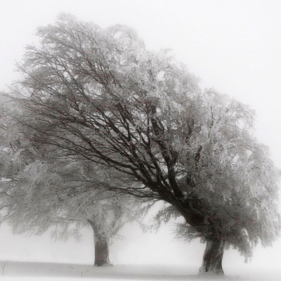 Wdr Hörspiel-speicher