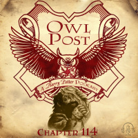 Chapter 114: Hagrids Tale