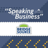 Speaking on Business: BridgeSource