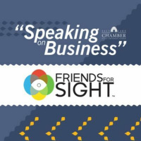 Speaking on Business: Friends for Sight