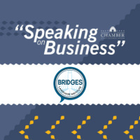 Speaking on Business: Bridges Language Institute