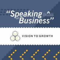 Speaking on Business: Vision to Growth