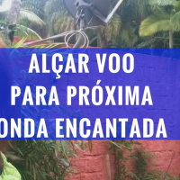 ALÇAR VOO PARA PRÓXIMA ONDA ENCANTADA | FLAVIAH MOTTA