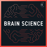 Brace for turbulence (Brain Science #13)