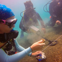 Expedición en busca de los navíos hundidos de Hernán Cortés en Veracruz