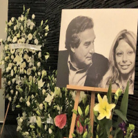 ¿Las mascotas pueden heredar tus bienes?