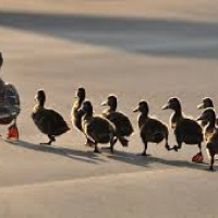 Qué significa seguir a Jesús (4.10.2017)