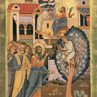 Homilía 30.10.16 Domingo XXXI TO C