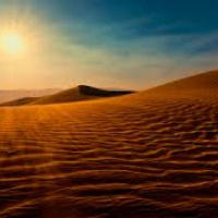 Ir al desierto para preparar la Pascua (8.4.17)