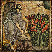 Homilía 6.11.16 Domingo XXXII C