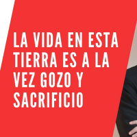 Domingo de Ramos. La vida en esta tierra es a la vez gozo y sacrificio