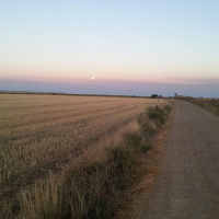 Dios guía nuestro camino a través de las circunstancias de nuestra vida