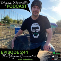 241: The Vegan Connector