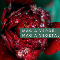 Magia Verde, Magia Vegetal. Cap. 4 Usos mágicos de las plantas