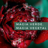 Magia verde, Magia vegetal Cap. 14 y último Compendio de plantas mágicas