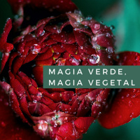 Magia Verde, Magia Vegetal. Cap. 7 Las verdaderas plantas de poder