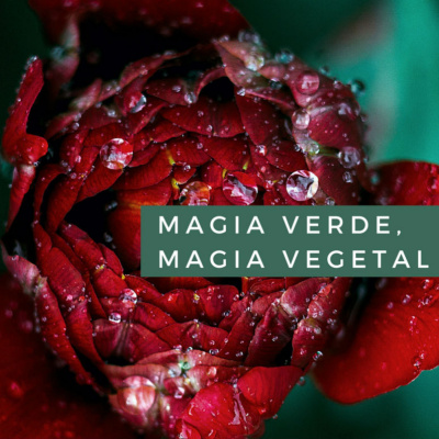 Magia Verde, Magia Vegetal