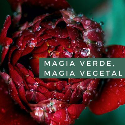 Magia Verde, Magia Vegetal