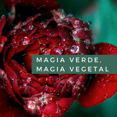 Magia Verde, Magia Vegetal