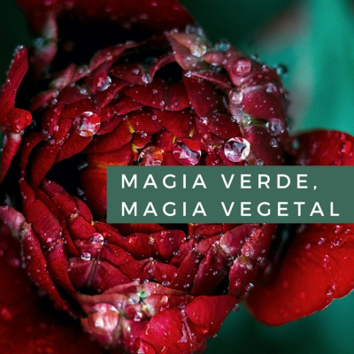 Magia Verde, Magia Vegetal