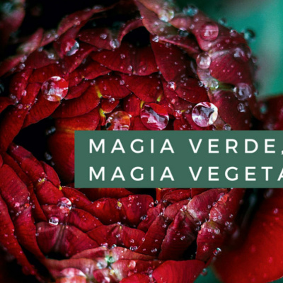 Magia Verde, Magia Vegetal