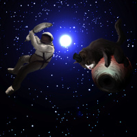 Todólogos Películas y Halo? No!