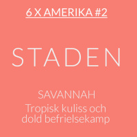 6 x Amerika #2: Savannah – tropisk kuliss och dold befrielsekamp