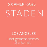 6 x Amerika #5: Los Angeles – det gemensammas återkomst