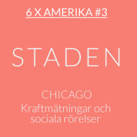6 x Amerika #3: Chicago – kraftmätningar och sociala rörelser