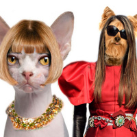 Episodio 25: Animales Sueltos