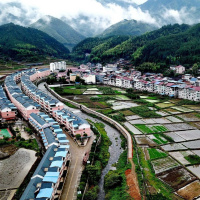 Rural China Copes with Covid-19 - Scott Rozelle