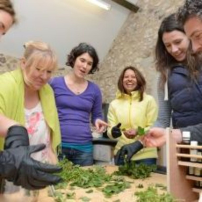 The Wellpreneur Podcast