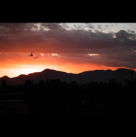 The Church for God’s Mission