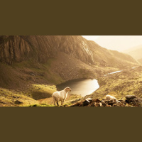 Jesus: the Door of the Sheep