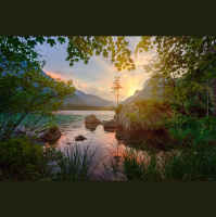 Renewing Real Life – Part 2