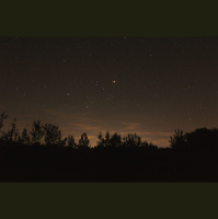 Singing in the Darkness