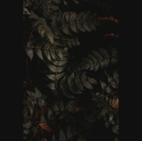 The Lord Who Takes Over – Not Sides