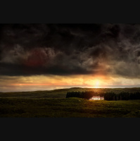 At Peace, Always Troubled