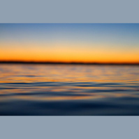 The Longing for Beauty