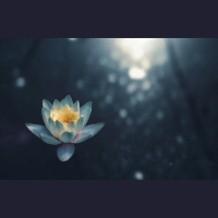 Hidden in Plain Sight