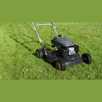 Not Neglecting Such a Great Savior