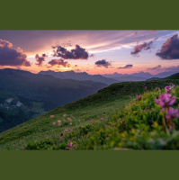 The Language of the Heart: Praying Our Life Together