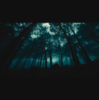 Praying Through Our Fears